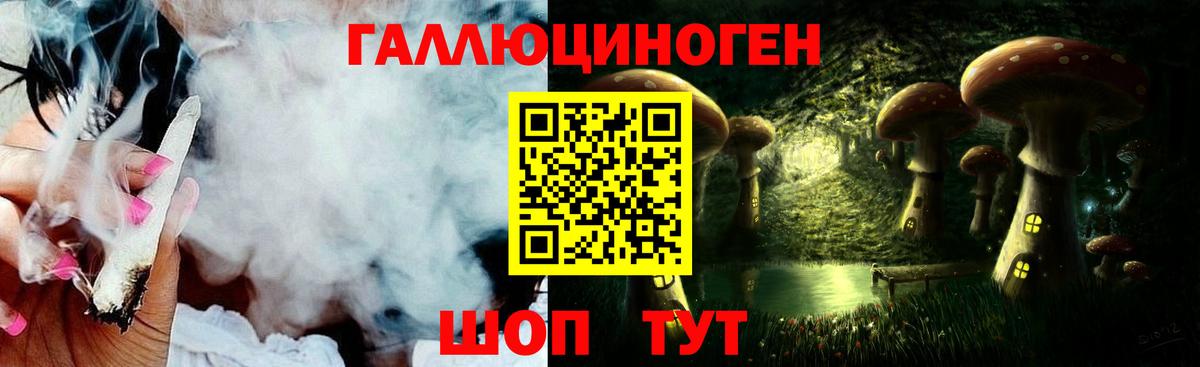 Киров  Галлюциногенные грибы Cubensis  Вход с VPN 